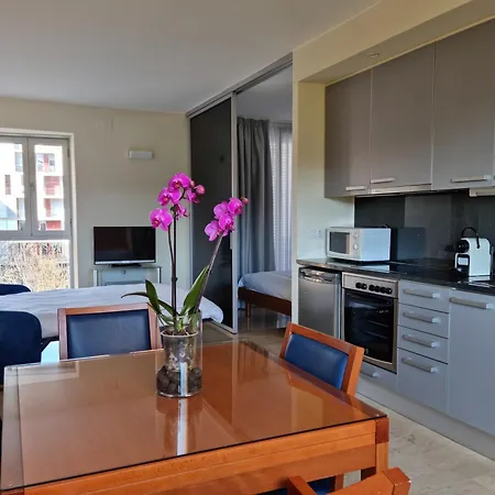 Els Quimics Apartment Girona